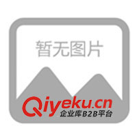 聚丙烯鮑爾環(huán),塑料鮑爾環(huán)，